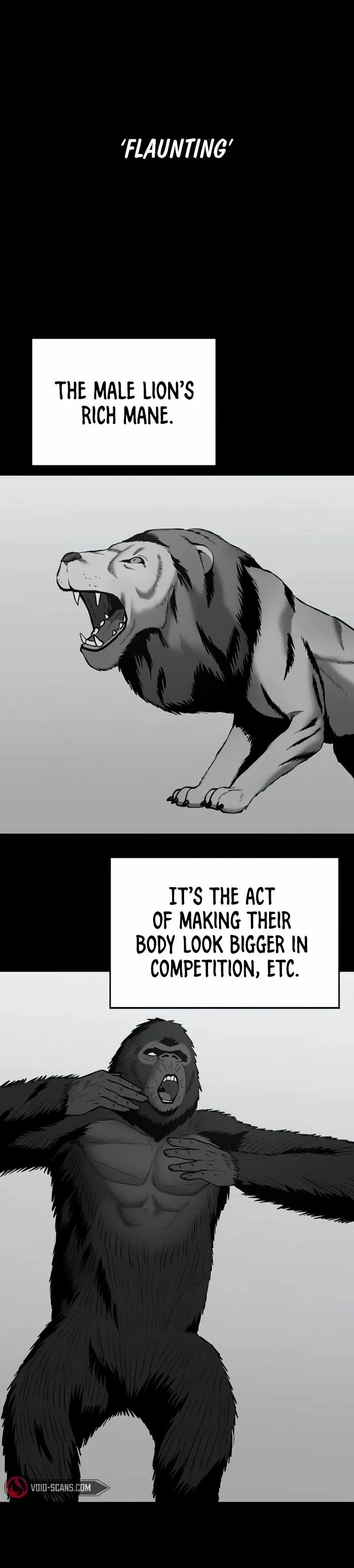 Designated Bully Chapter 49 Page 5