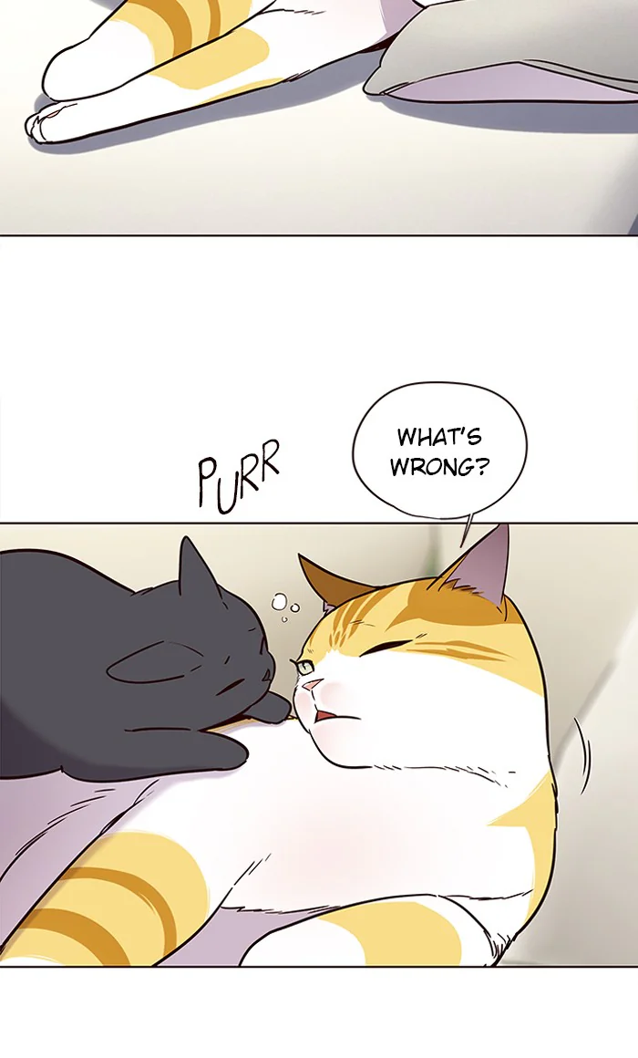 Eleceed Chapter 101 Page 1