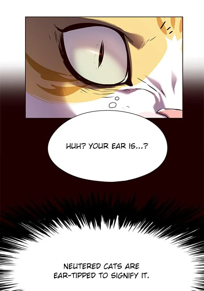 Eleceed Chapter 141 Page 93
