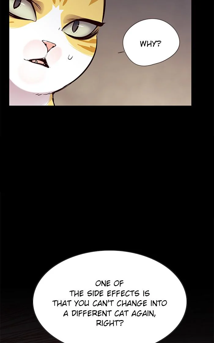 Eleceed Chapter 142 Page 5