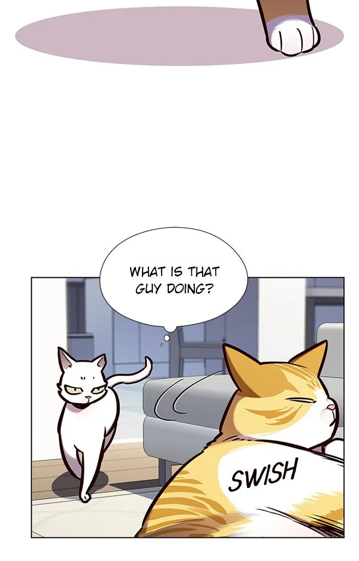 Eleceed Chapter 144 Page 19