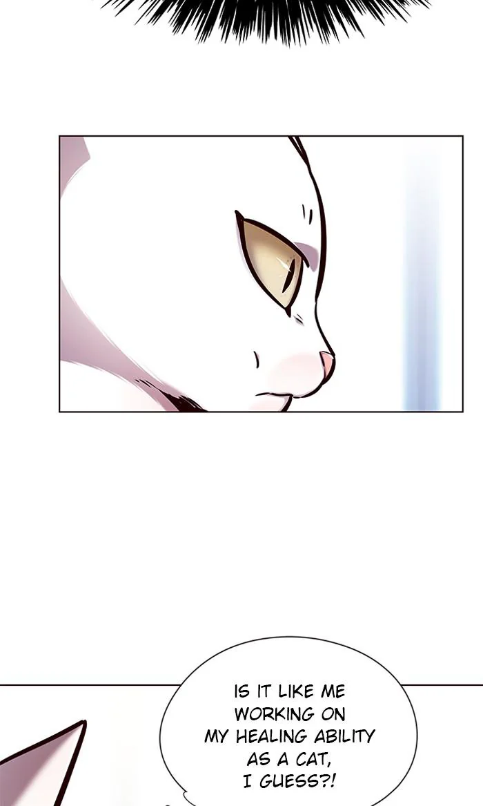 Eleceed Chapter 144 Page 27