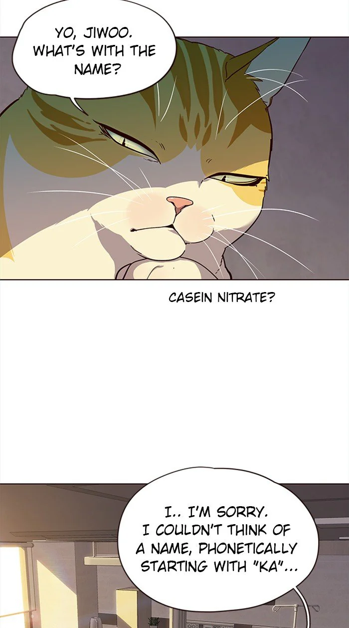 Eleceed Chapter 29 Page 13
