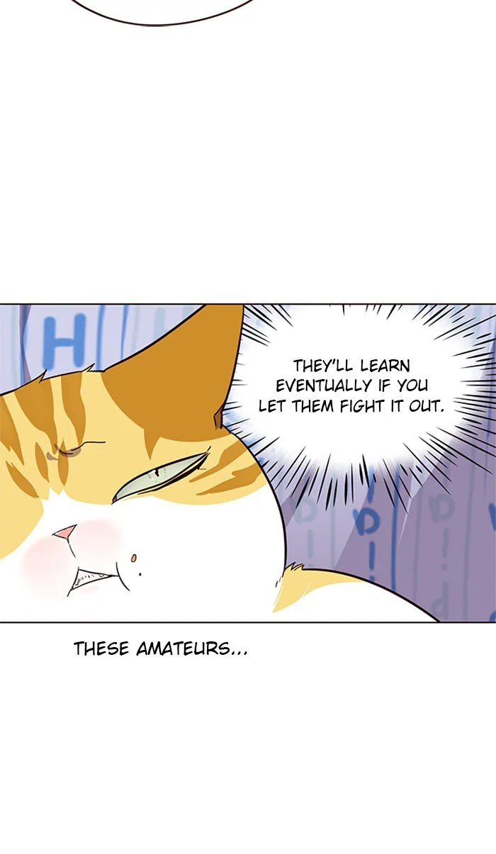 Eleceed Chapter 34 Page 36