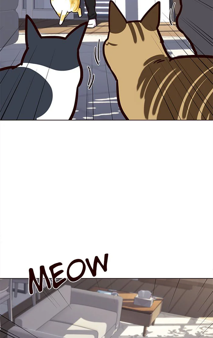 Eleceed Chapter 34 Page 62
