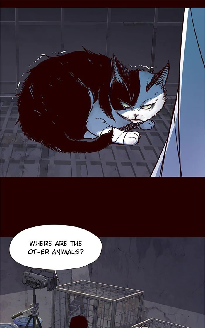 Eleceed Chapter 36 Page 8
