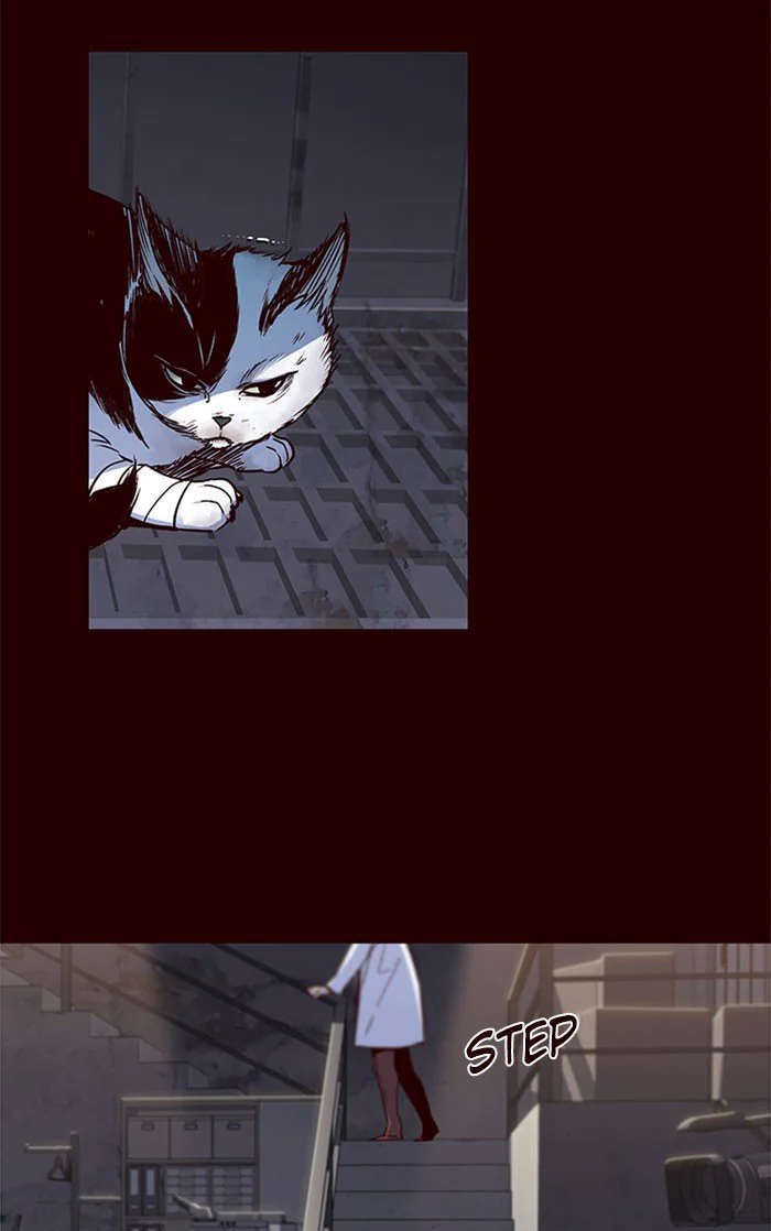 Eleceed Chapter 36 Page 13