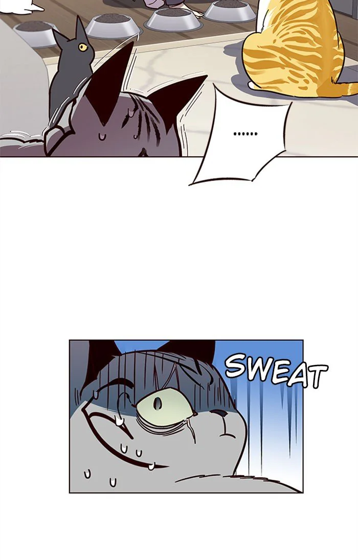 Eleceed Chapter 37 Page 31