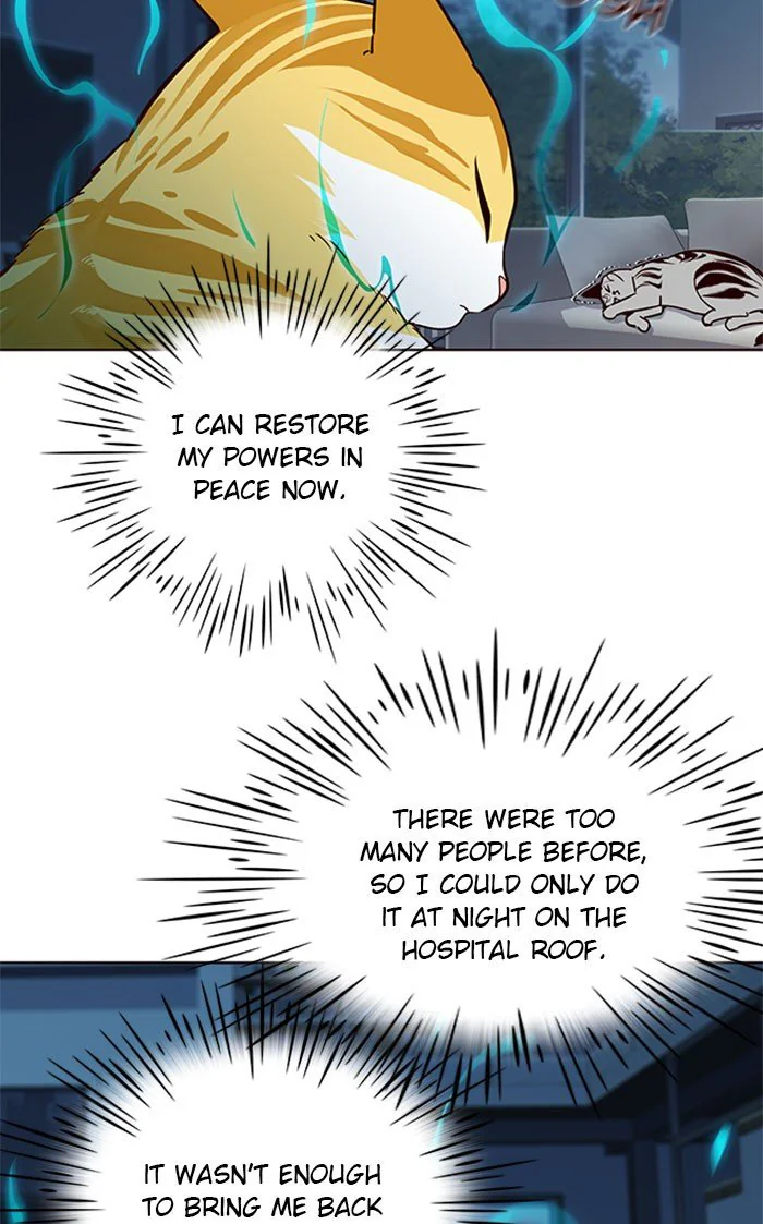 Eleceed Chapter 37 Page 42