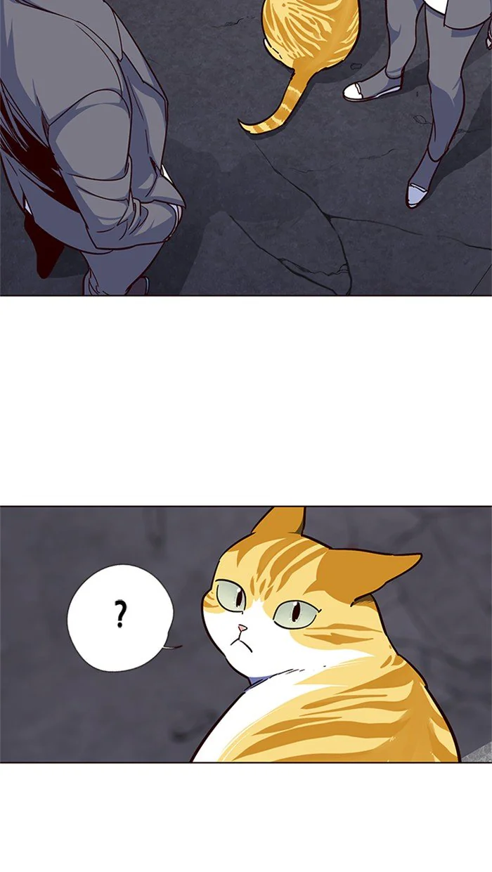 Eleceed Chapter 41 Page 45