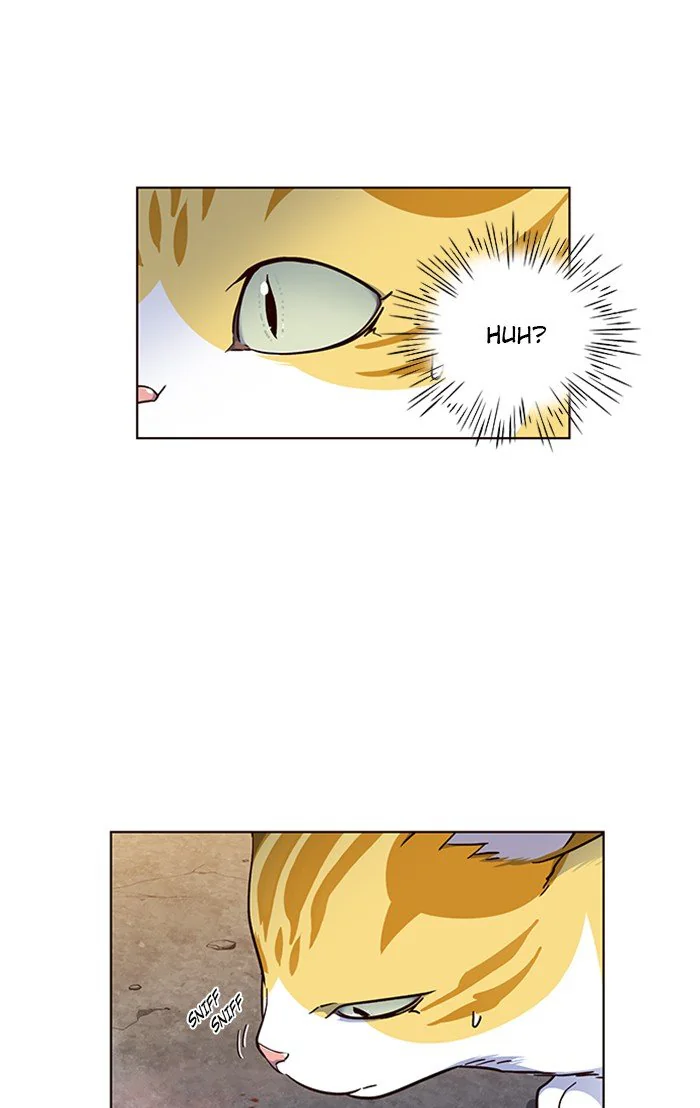 Eleceed Chapter 41 Page 48