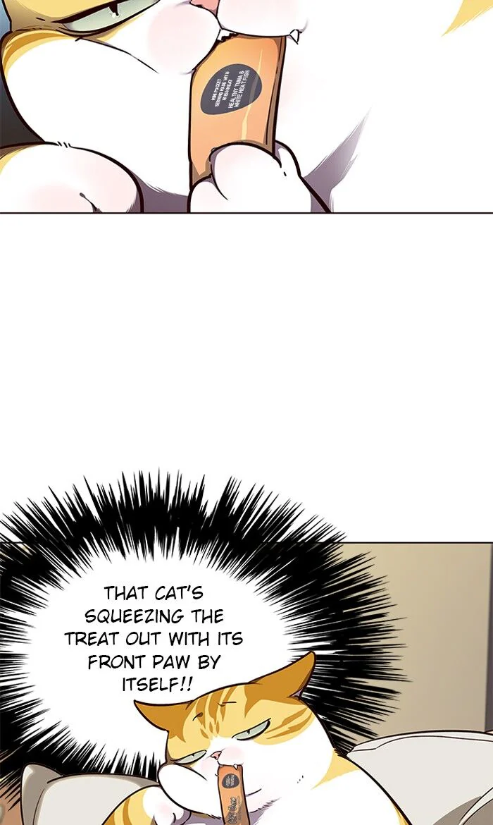 Eleceed Chapter 50 Page 5
