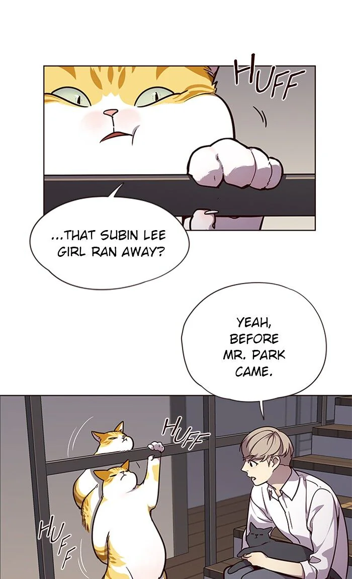 Eleceed Chapter 51 Page 1