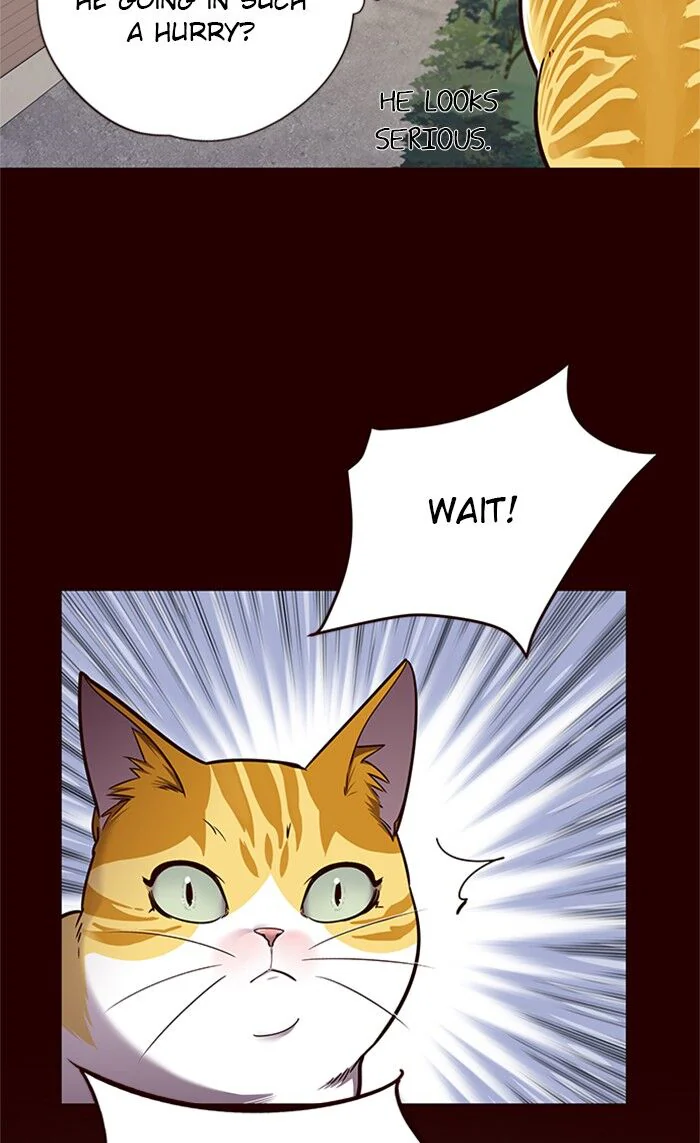 Eleceed Chapter 52 Page 38