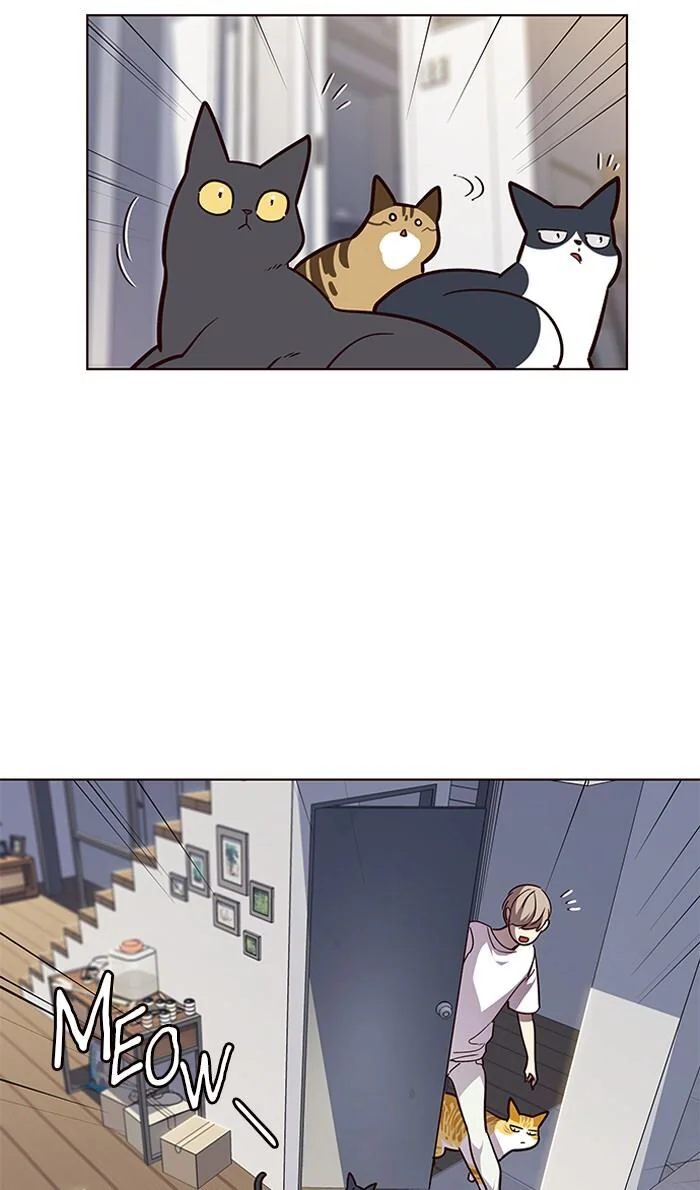 Eleceed Chapter 55 Page 9