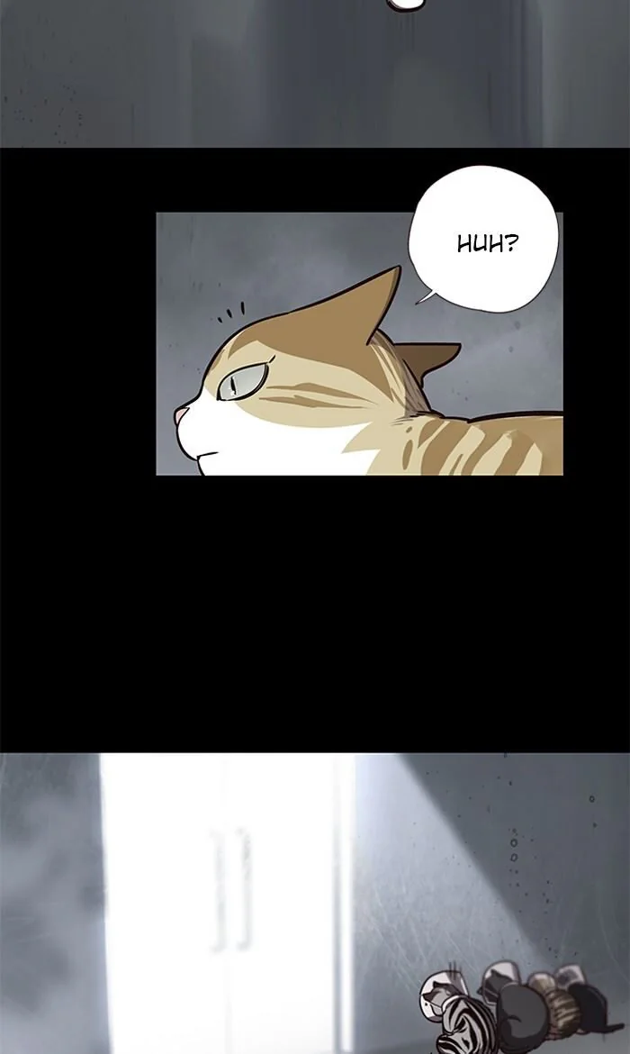 Eleceed Chapter 56 Page 1