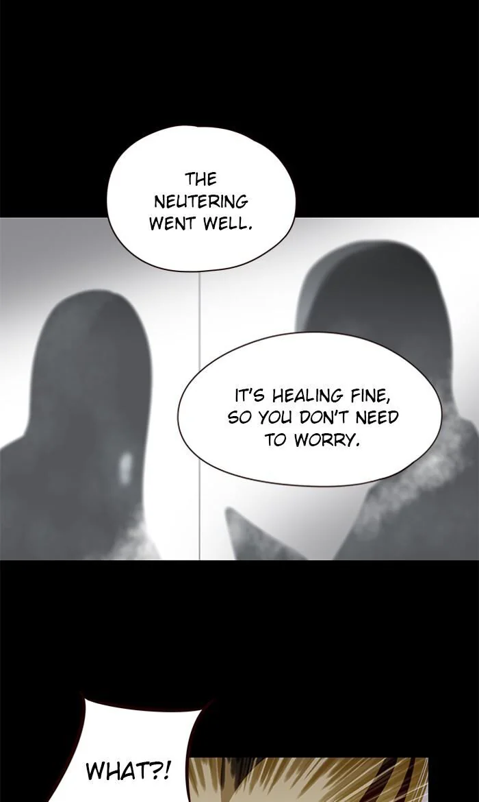 Eleceed Chapter 56 Page 6