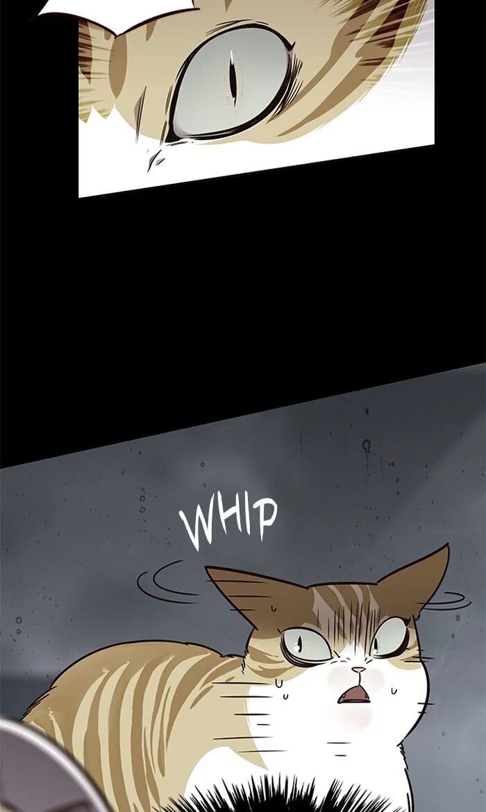 Eleceed Chapter 56 Page 7