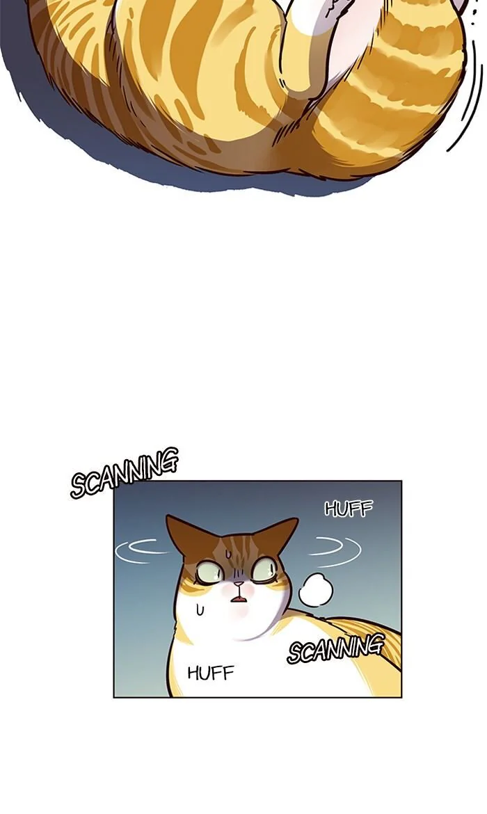 Eleceed Chapter 56 Page 13