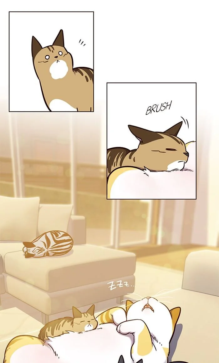 Eleceed Chapter 56 Page 19