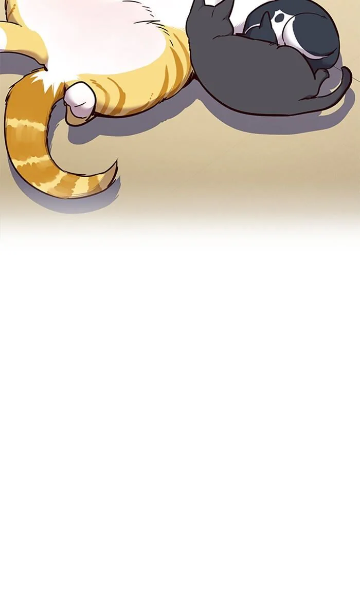 Eleceed Chapter 56 Page 20