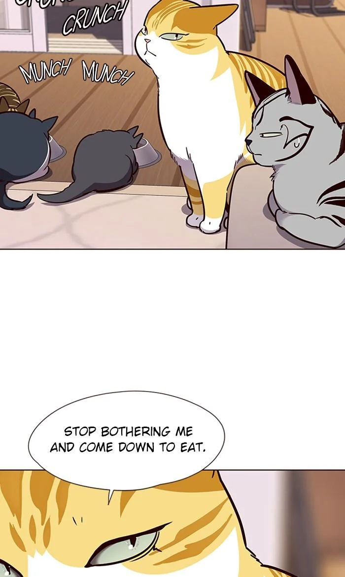 Eleceed Chapter 56 Page 54