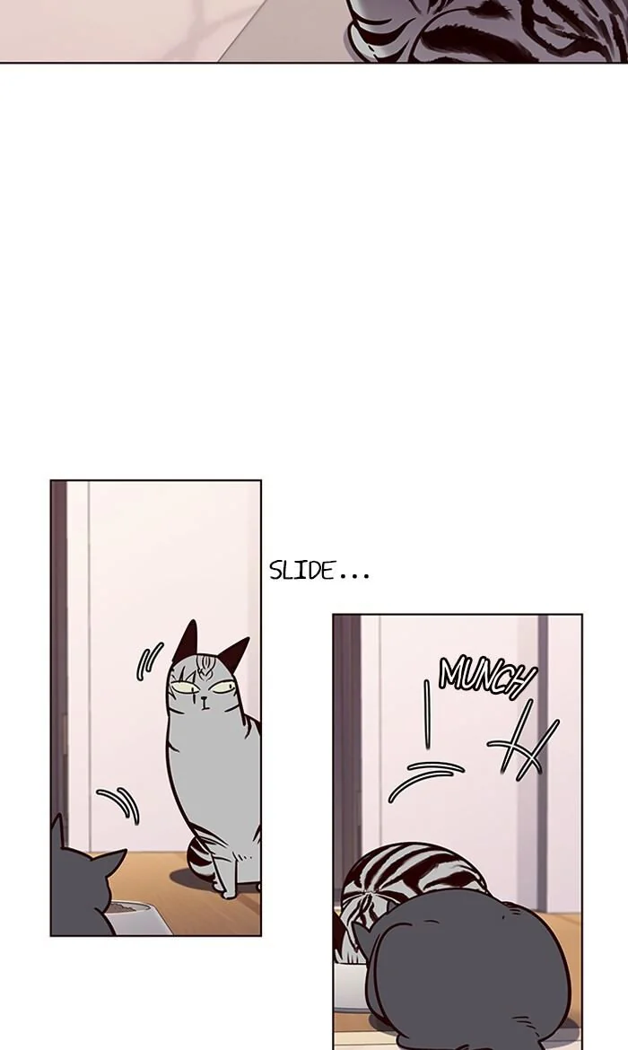 Eleceed Chapter 56 Page 57