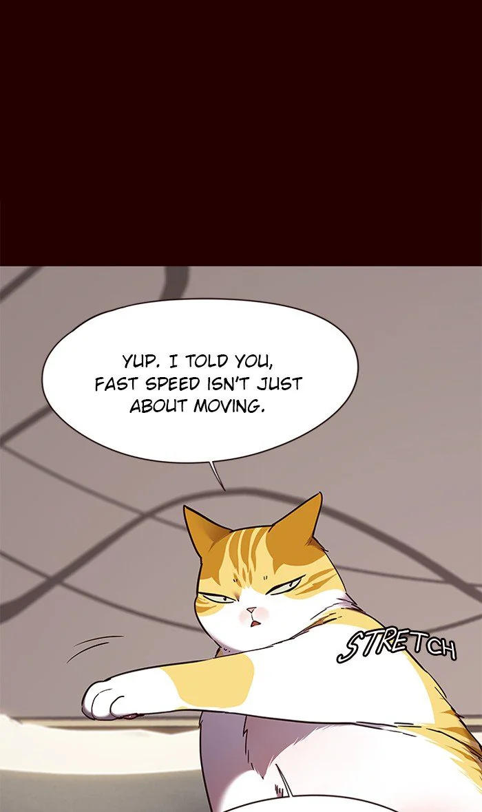 Eleceed Chapter 87 Page 51