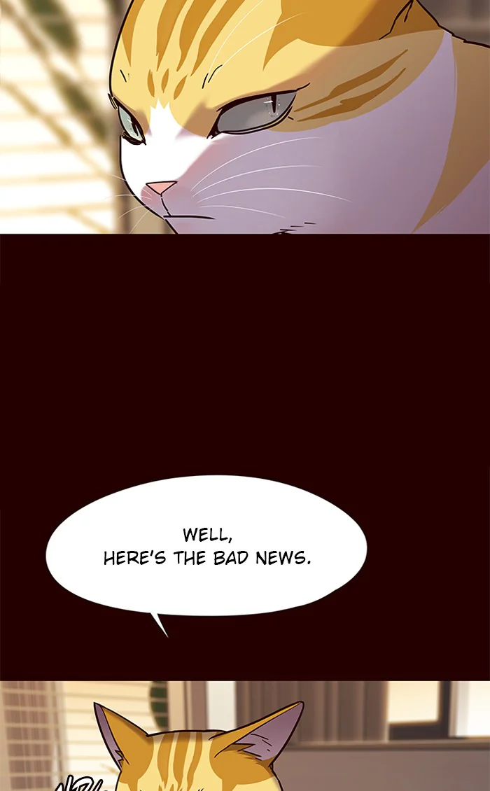 Eleceed Chapter 96 Page 12