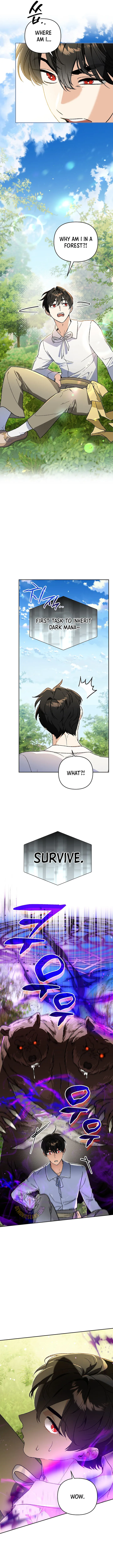 I Became the Genius Bastard of a Noble Dark Clan Chapter 29 Page 9