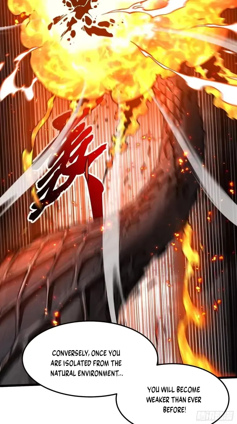Martial Evolution: Start by Awakening the King of Monsters Chapter 119 Page 3