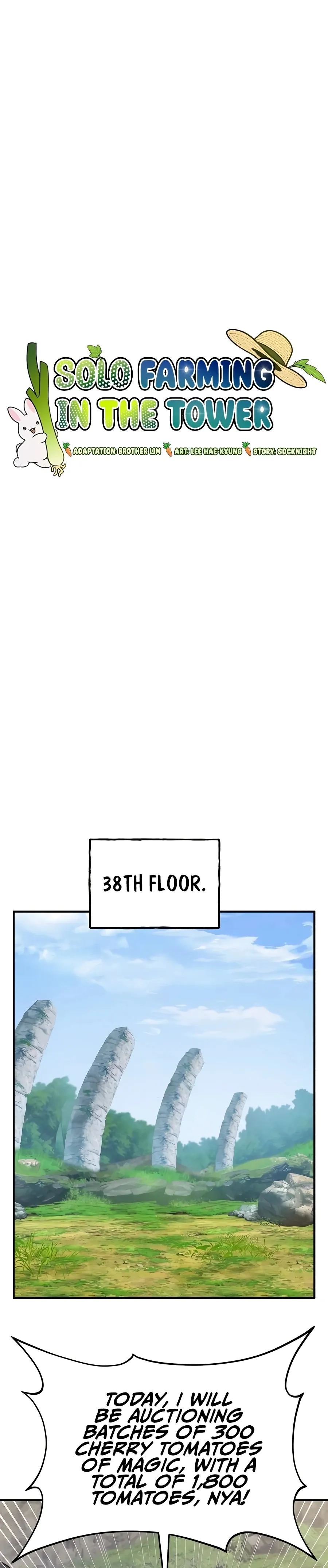 Solo Farming In The Tower Chapter 26 Page 11