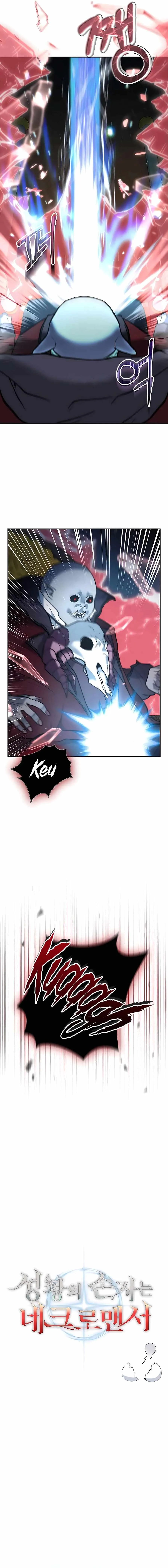 The Holy Emperor's Grandson Is a Necromancer Chapter 14 Page 11