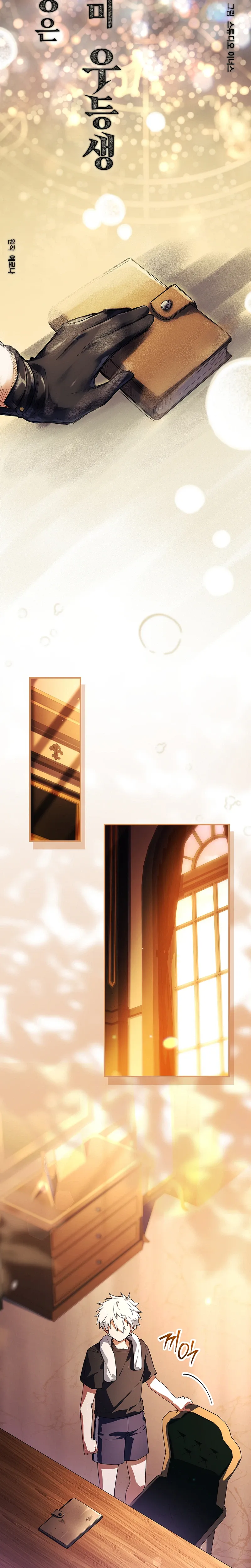 The Legendary Hero is an Academy Honors Student Chapter 101 Page 13