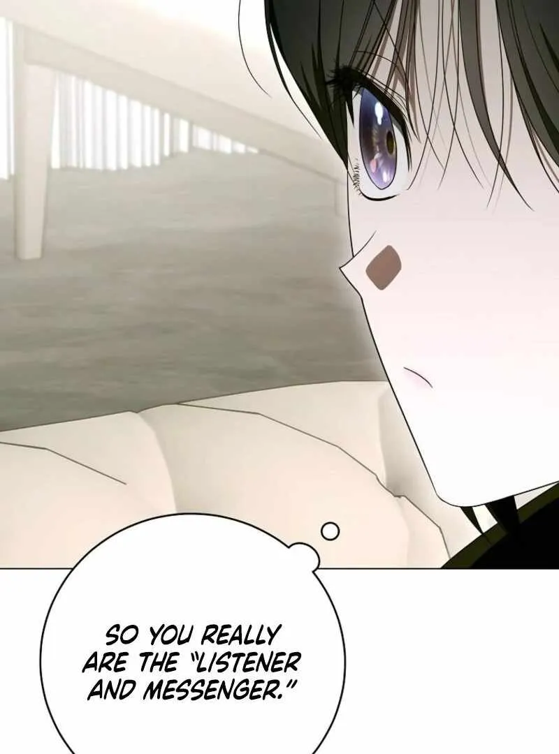 The Ranker's Guide to Live an Ordinary Life Chapter 55 Page 39