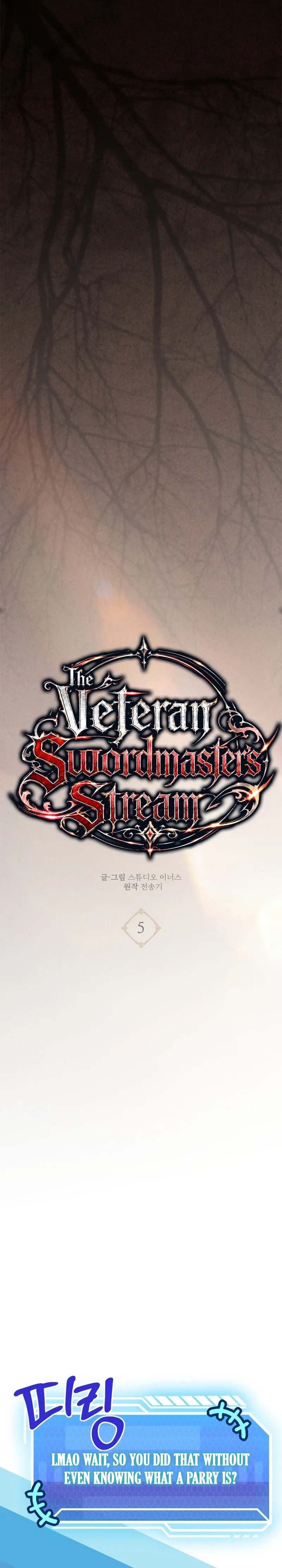 The Veteran Swordmaster's Stream Chapter 5 Page 13